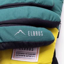 Elbrus Guanti Pionte