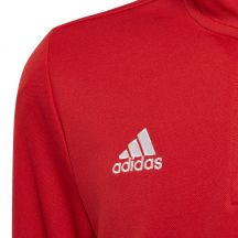 adidas Felpa Entrada Tr Top