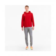 Puma Felpa TeamGoal Casuals