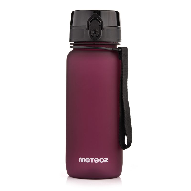 Meteor bottle 650 ml 17660 burgundy