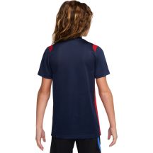 Nike Maglietta Paris Saint-Germain Academy Pro