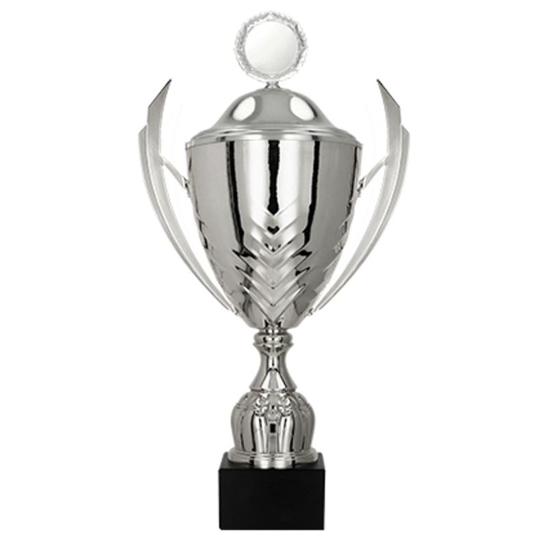 Metal cup with a lid