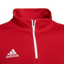adidas Felpa Entrada Tr Top