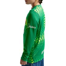 Nike Maglia FC Barcelona Stadium Goalkeeper