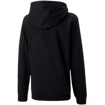Puma Felpa con cappuccio teamGOAL Casuals