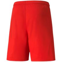 Puma Pantaloncini teamLIGA