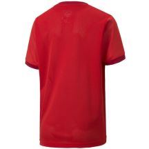 Puma Maglia teamGOAL