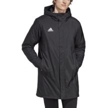 adidas Giacca Entrada Stadium