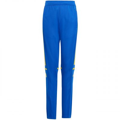 adidas Pantaloni Squadra Training
