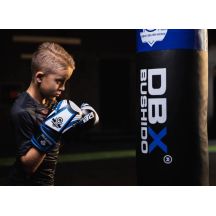 DBX Bushido Guanti Boxing for
