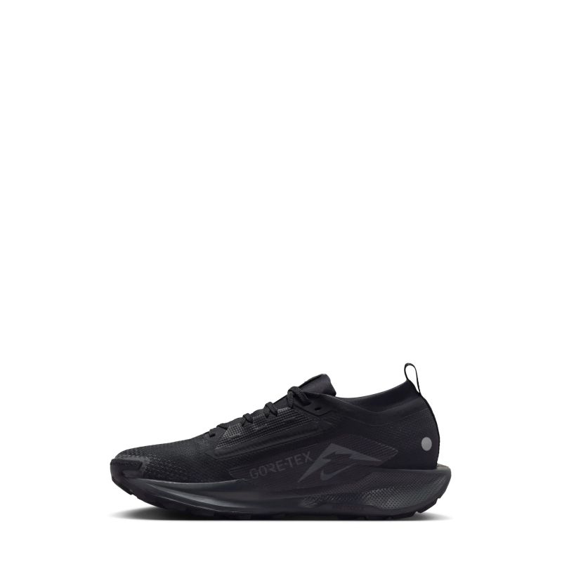 Nike W REACTX PEGASUS TRAIL 5 GTX (FQ0912-002)