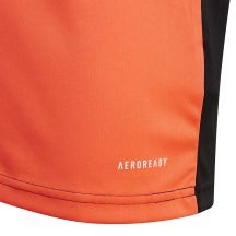 adidas Maglia Squadra GoalKeeper Youth