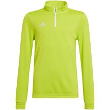 adidas Felpa Entrada Training Top