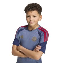adidas Maglia FC Bayern Training JSY