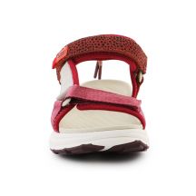 D.Franklin Sneakers D. Franklin Strips