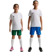 Nike Maglia Dri-Fit Park viii