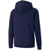 Puma Giacca teamGoal Casuals Hooded