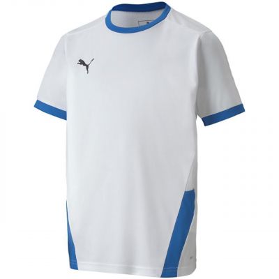 Puma Maglia teamGOAL