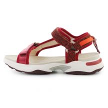 D.Franklin Sneakers D. Franklin Strips