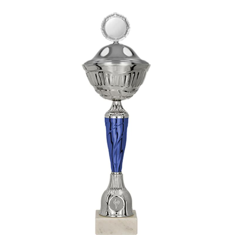 Metal cup with a lid
