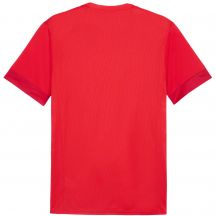 Puma Maglia teamGoal Matchday