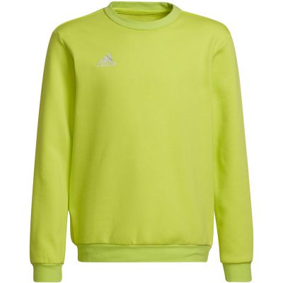 adidas Felpa Entrada Sweat Top
