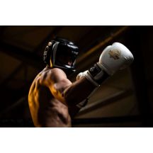 DBX Bushido Guanti Boxing Spirit Valor Series