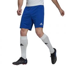adidas Pantaloncini Entrada