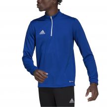 adidas Felpa Entrada training