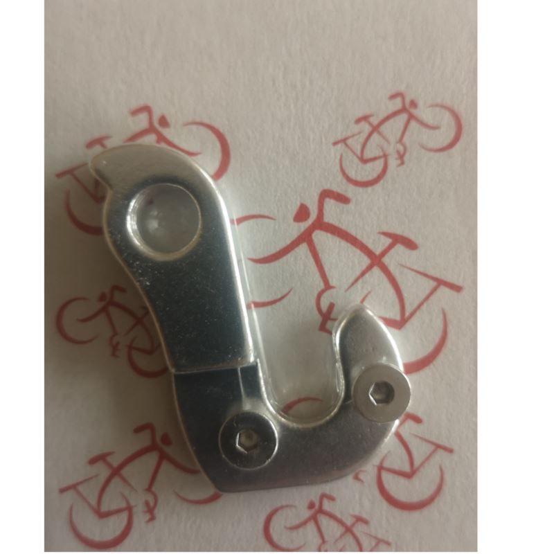 Derailleur hanger for GW-9P frame