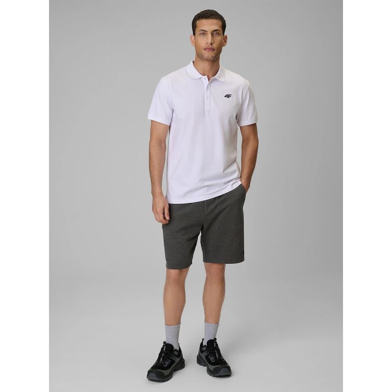 4f Polo regular