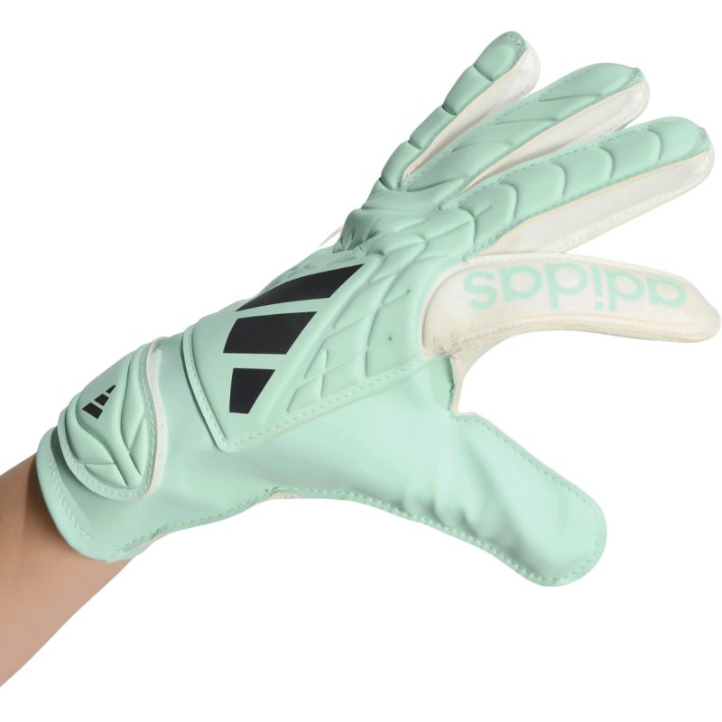 adidas Guanti Copa Club Goalkeeper and