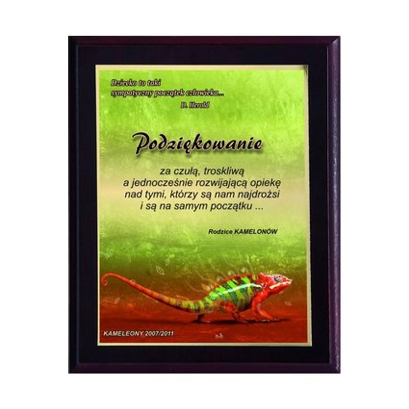 Plastic diploma with color touch laminate