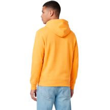 Champion Felpa Hooded