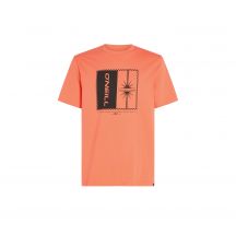 ONeill Maglia O'Neill Mix Match Palm