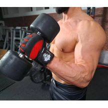 DBX Bushido Guanti Gym