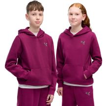 Puma Felpa con cappuccio ESS Elevated FL fuchsia