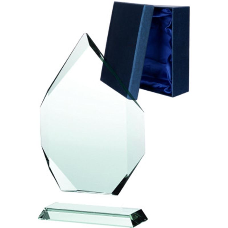 Glass trophy with a detached base and case