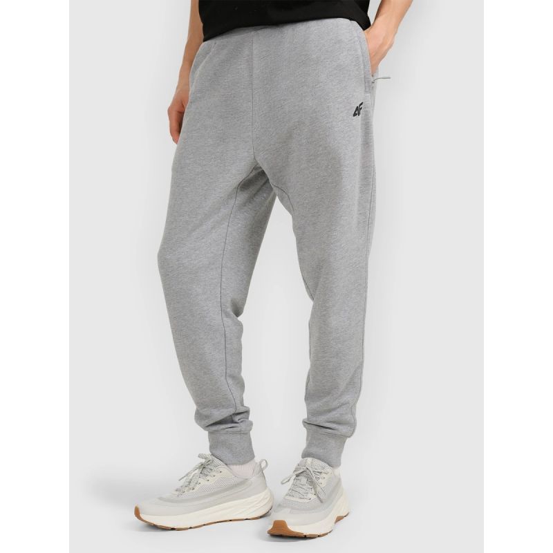 Men's jogger sweatpants 4F 4FRMM00TTROM1624-27M