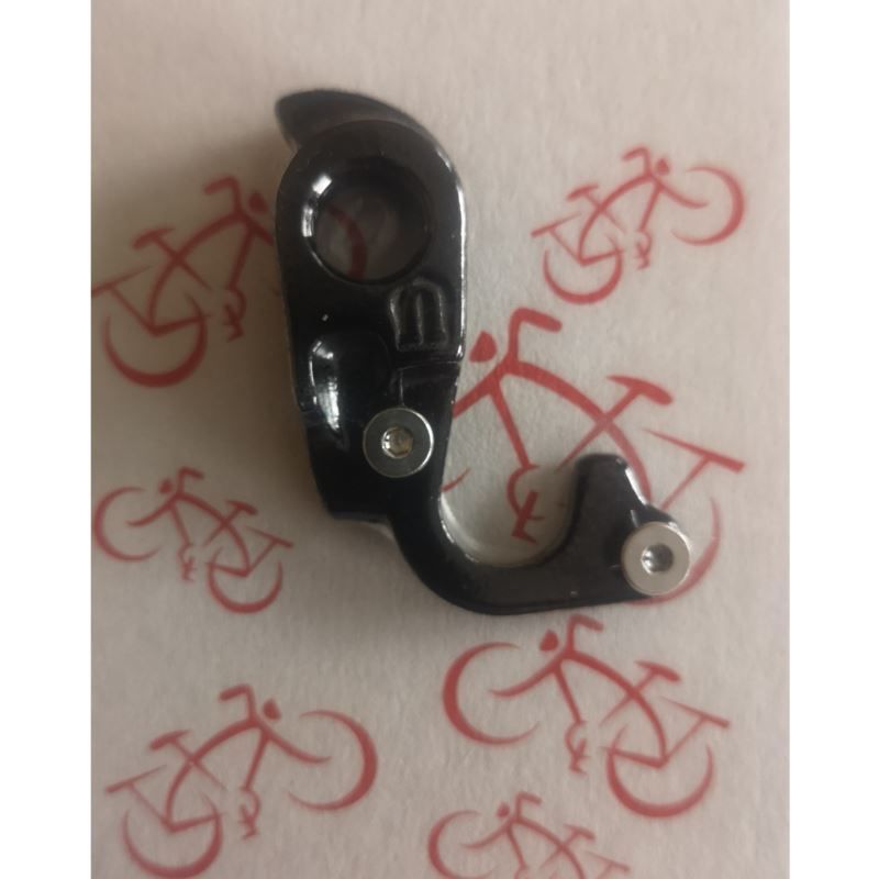 Derailleur hanger for GW-9N frame