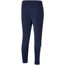 Puma Pantaloni teamLIGA Training