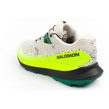 Salomon Scarpe Ultra Glide Running