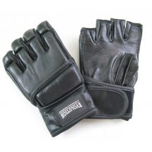Evolution Guanti MMA