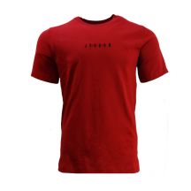AIR Jordan Maglietta Jumpman Embroidered Air Crew