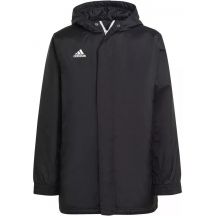 adidas Giacca Entrada Stadium