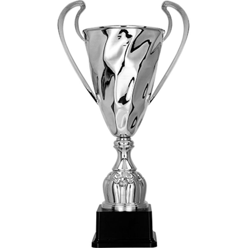 Silver metal cup
