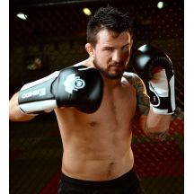 DBX Bushido Guanti Boxing Phantom Valor Series