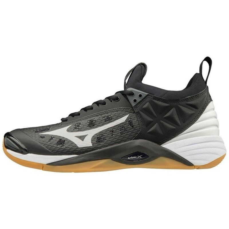 Volleyball shoes Mizuno Wave Momentum 204 M HS-TNK-000011235