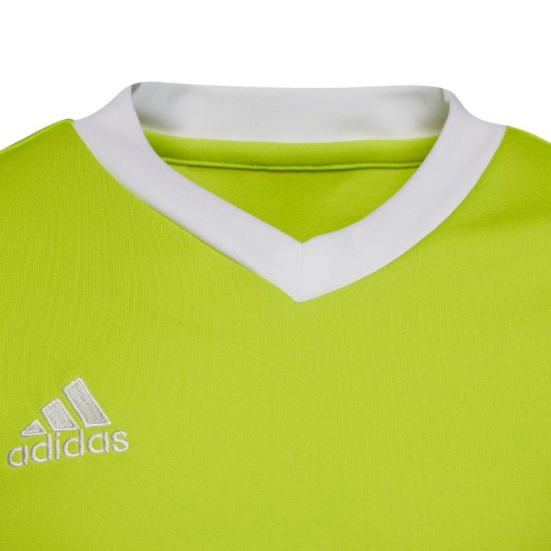 adidas Maglia Entrada