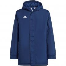 adidas Giacca Entrada Stadium